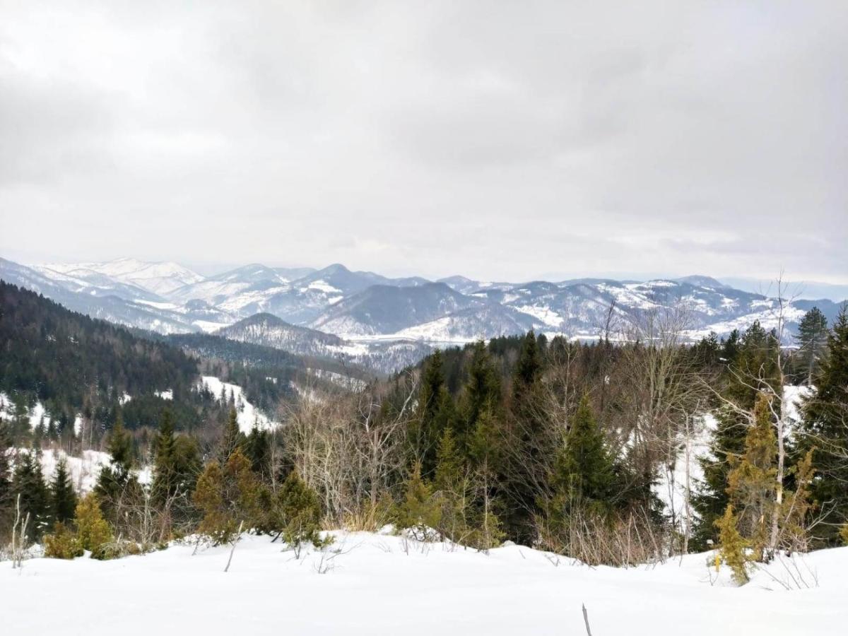 Planinska Koliba Exclusive Villa Sekulic ภายนอก รูปภาพ